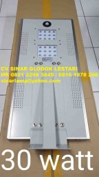 PJU Tenaga Surya 30 watt All In One